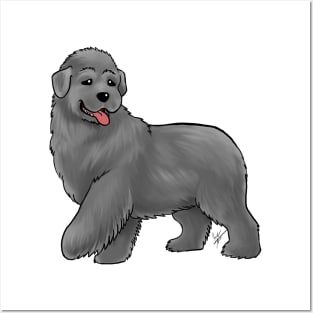 Dog - Newfoundland - Gray Posters and Art